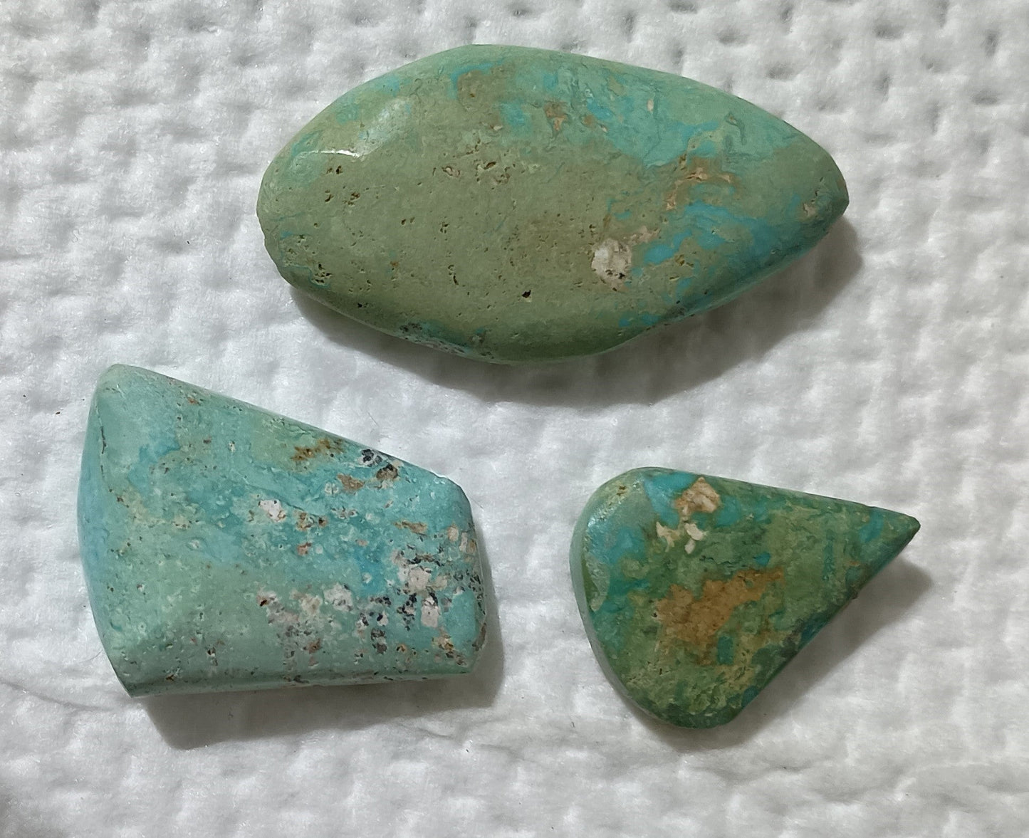 BBoCC Turquoise - Large Blue