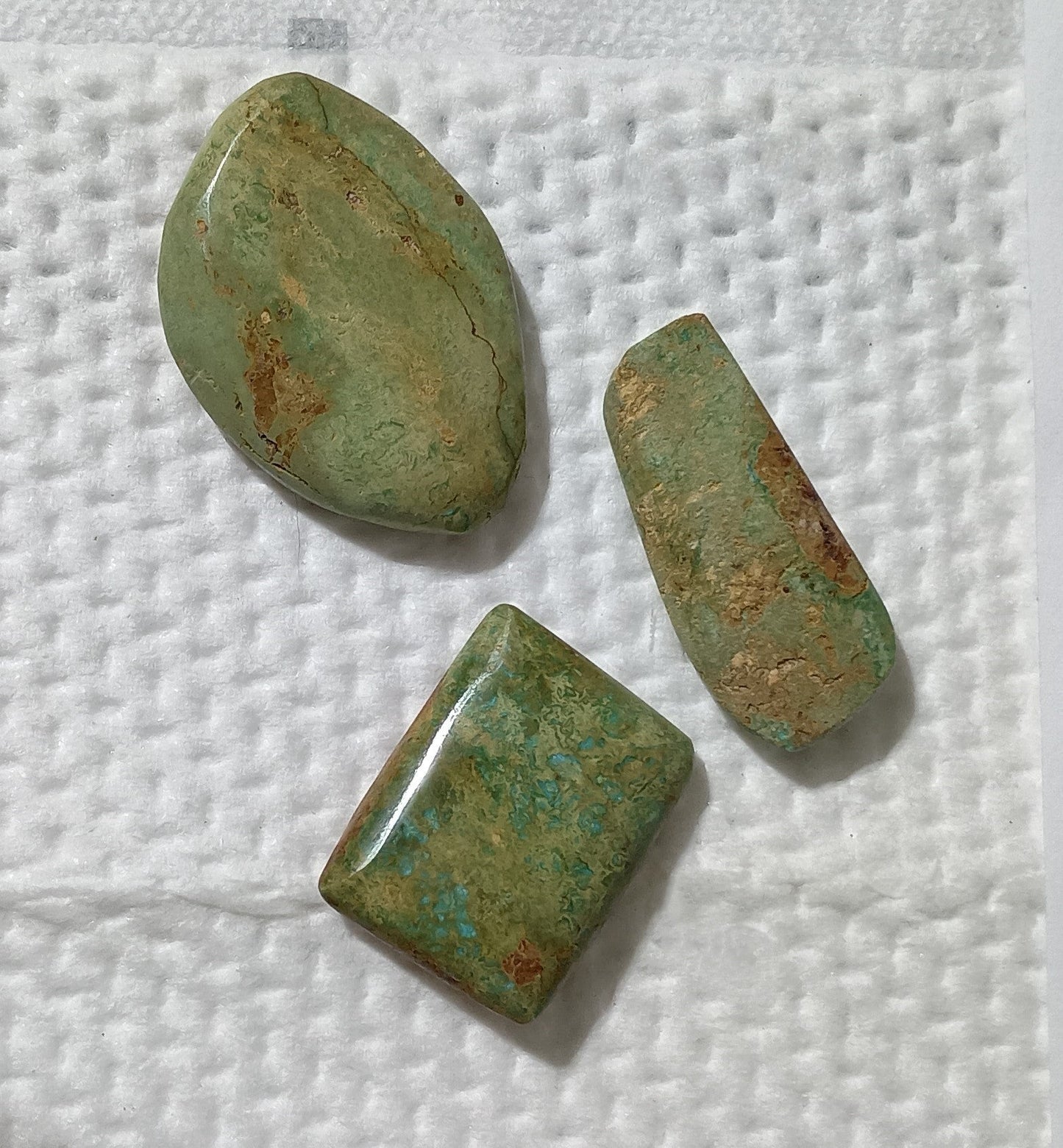 BBoCC Turquoise - Large Green