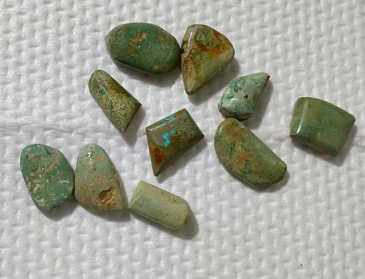 BBoCC Turquoise - Medium Green