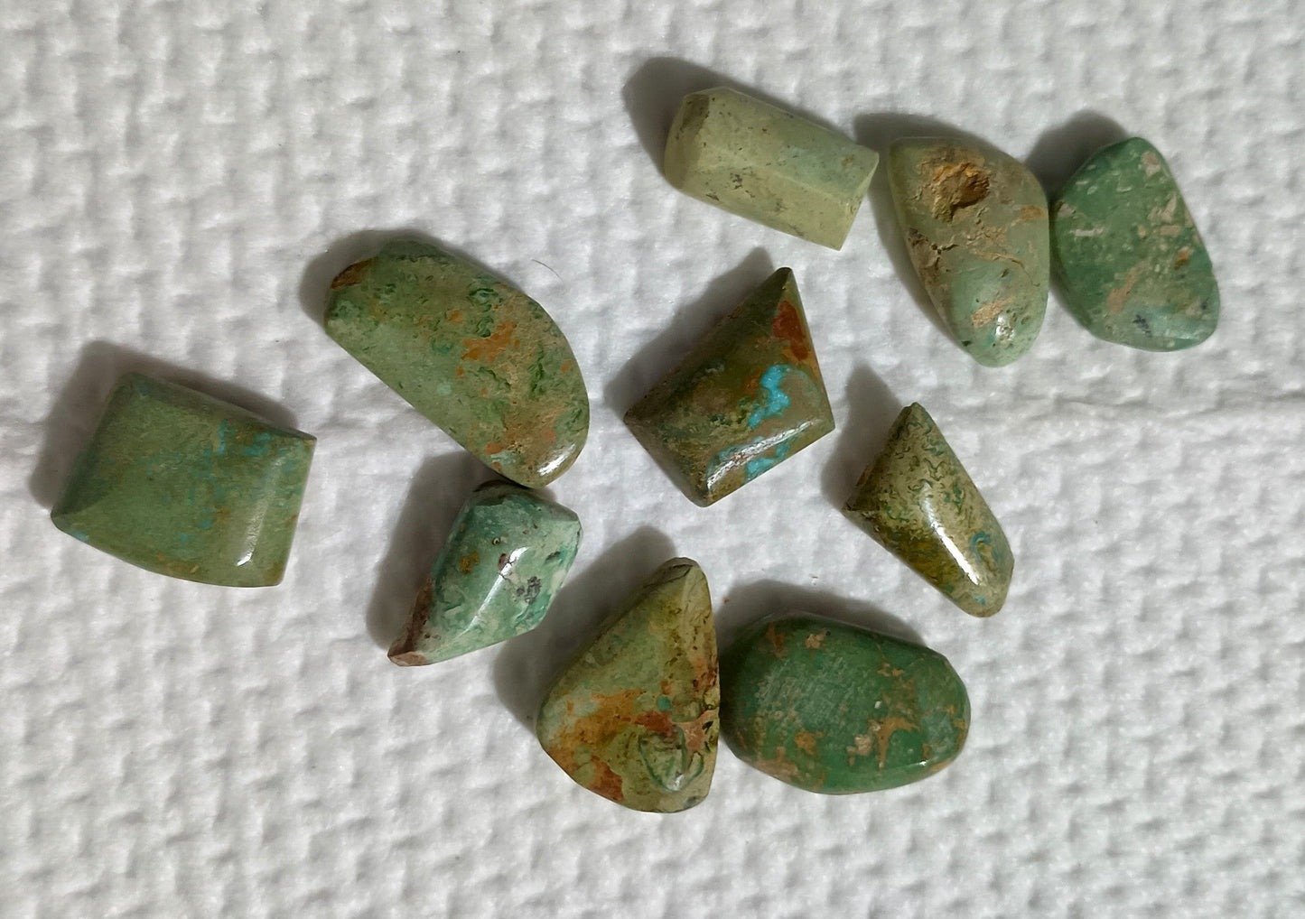 BBoCC Turquoise - Medium Green