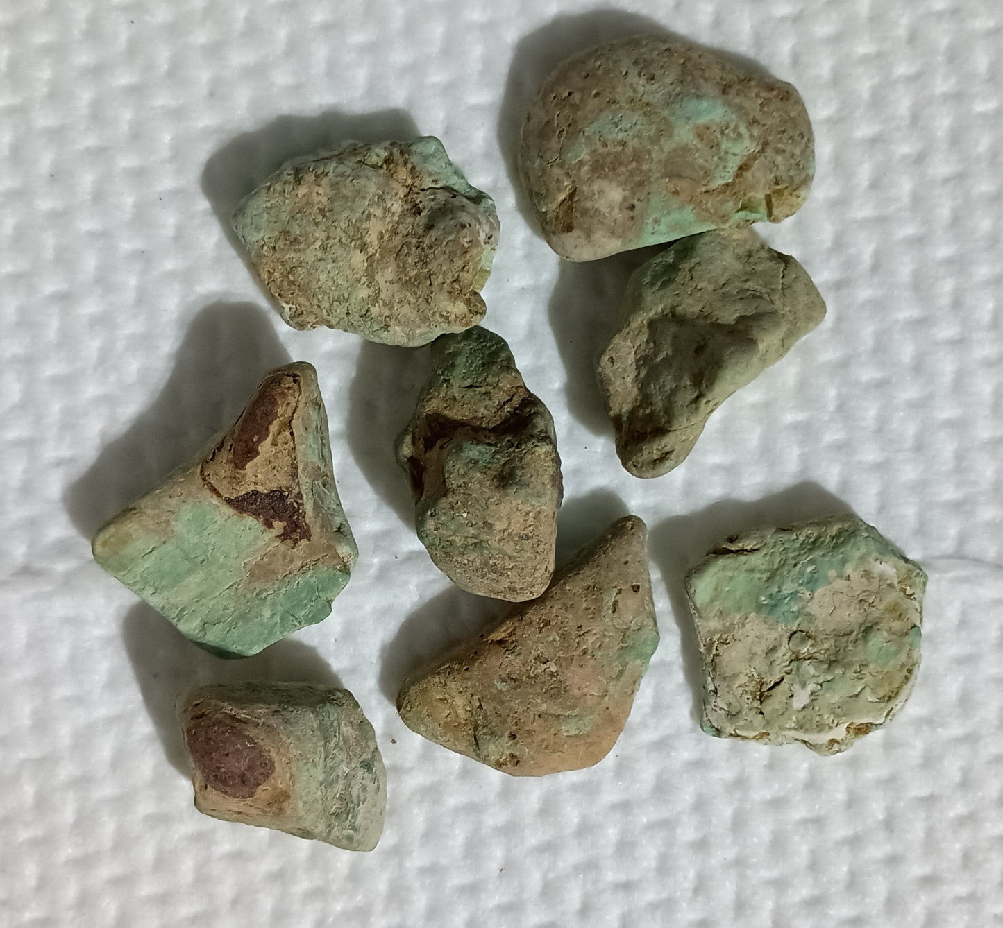 BBoCC Turquoise - Large Rough