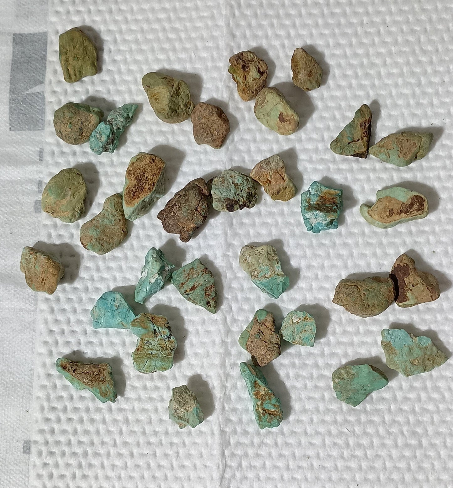 BBoCC Turquoise - Small Rough