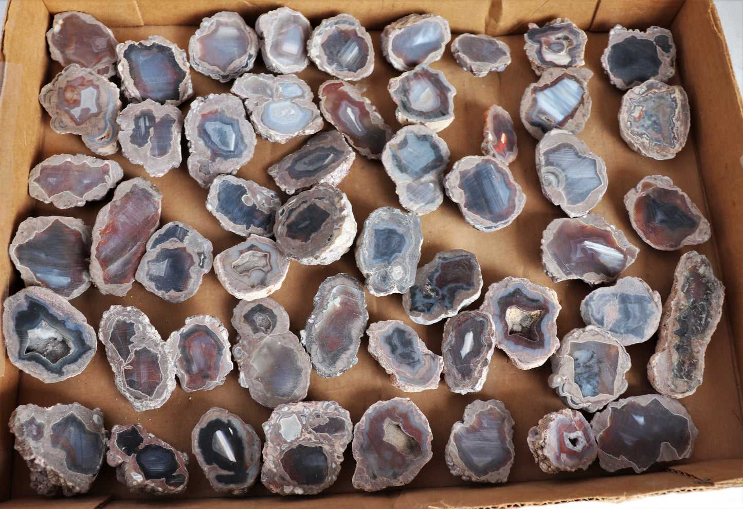 50 count flat of $10 Deming thunderegg halves