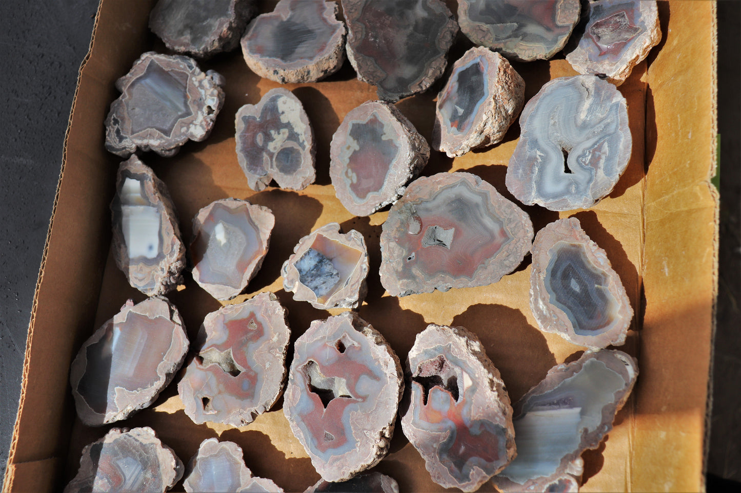 30 count flat of $15 Deming thunderegg halves