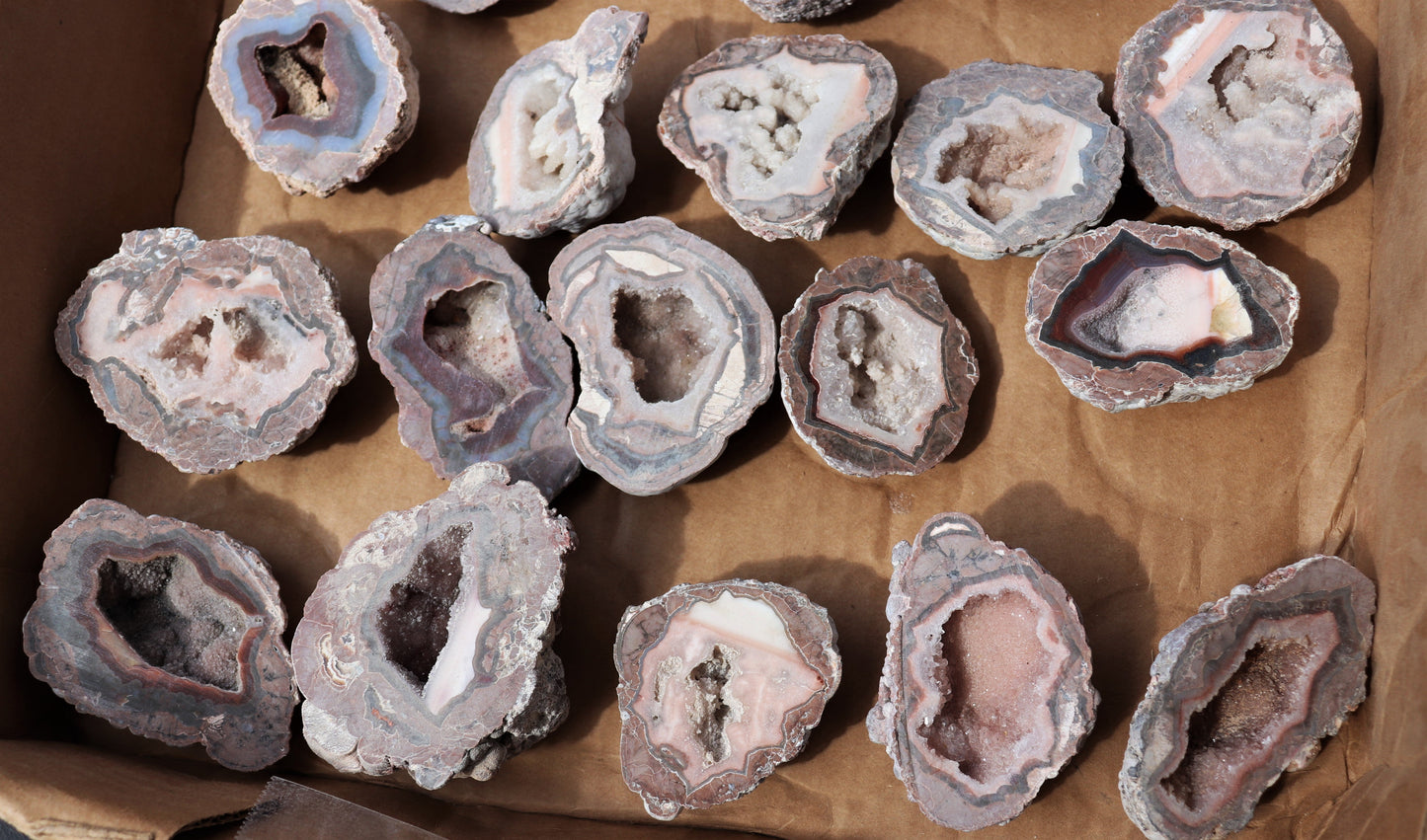 30 count flat of $15 Baker Ranch thunderegg halves