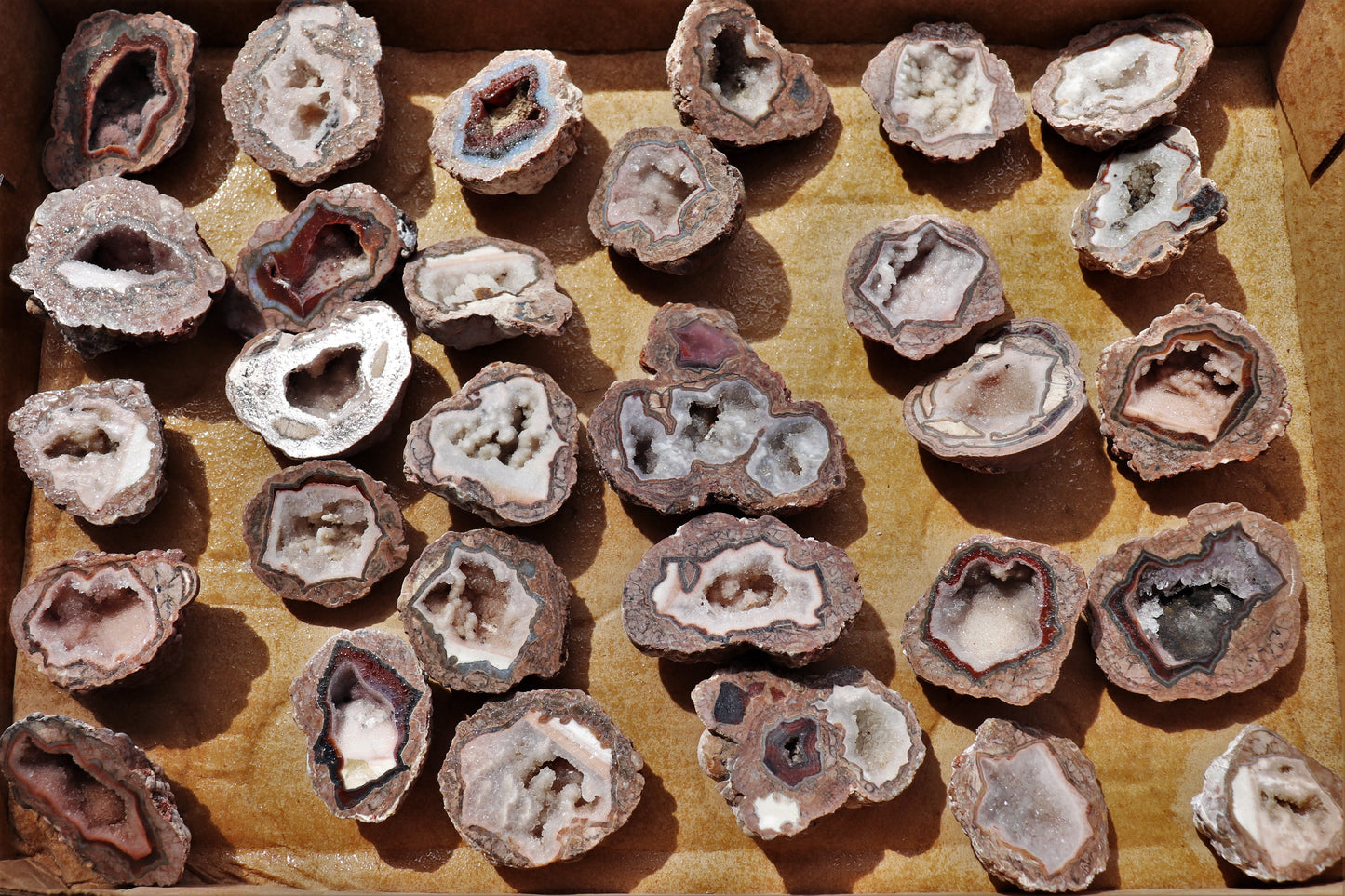 30 count flat of $15 Baker Ranch thunderegg halves