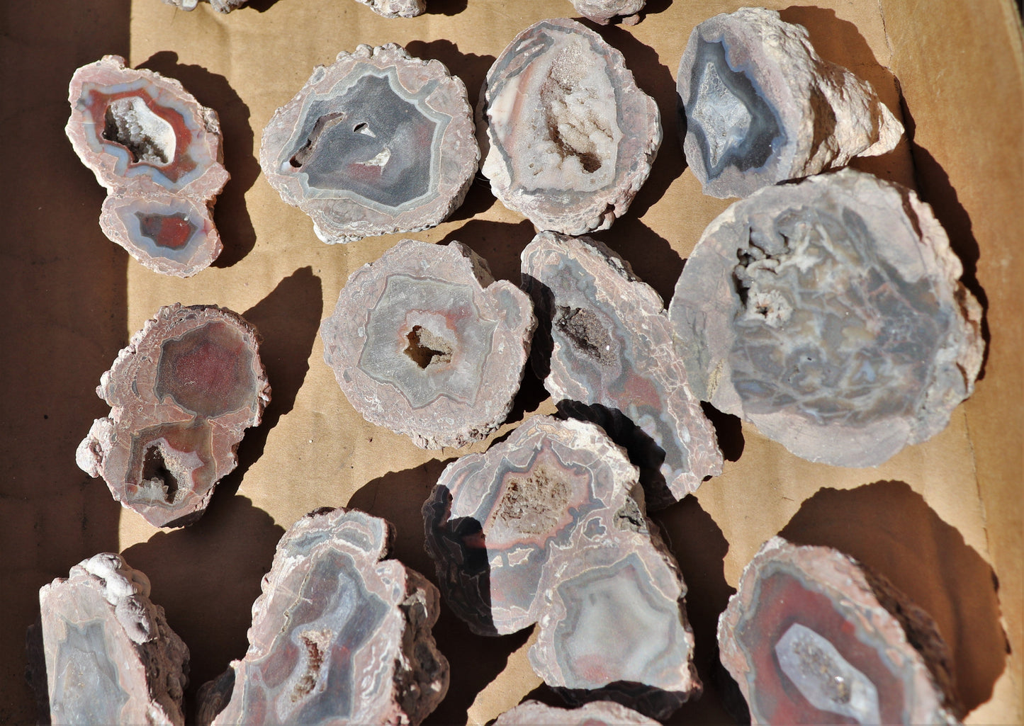 25 count flat of $15 Deming thunderegg halves