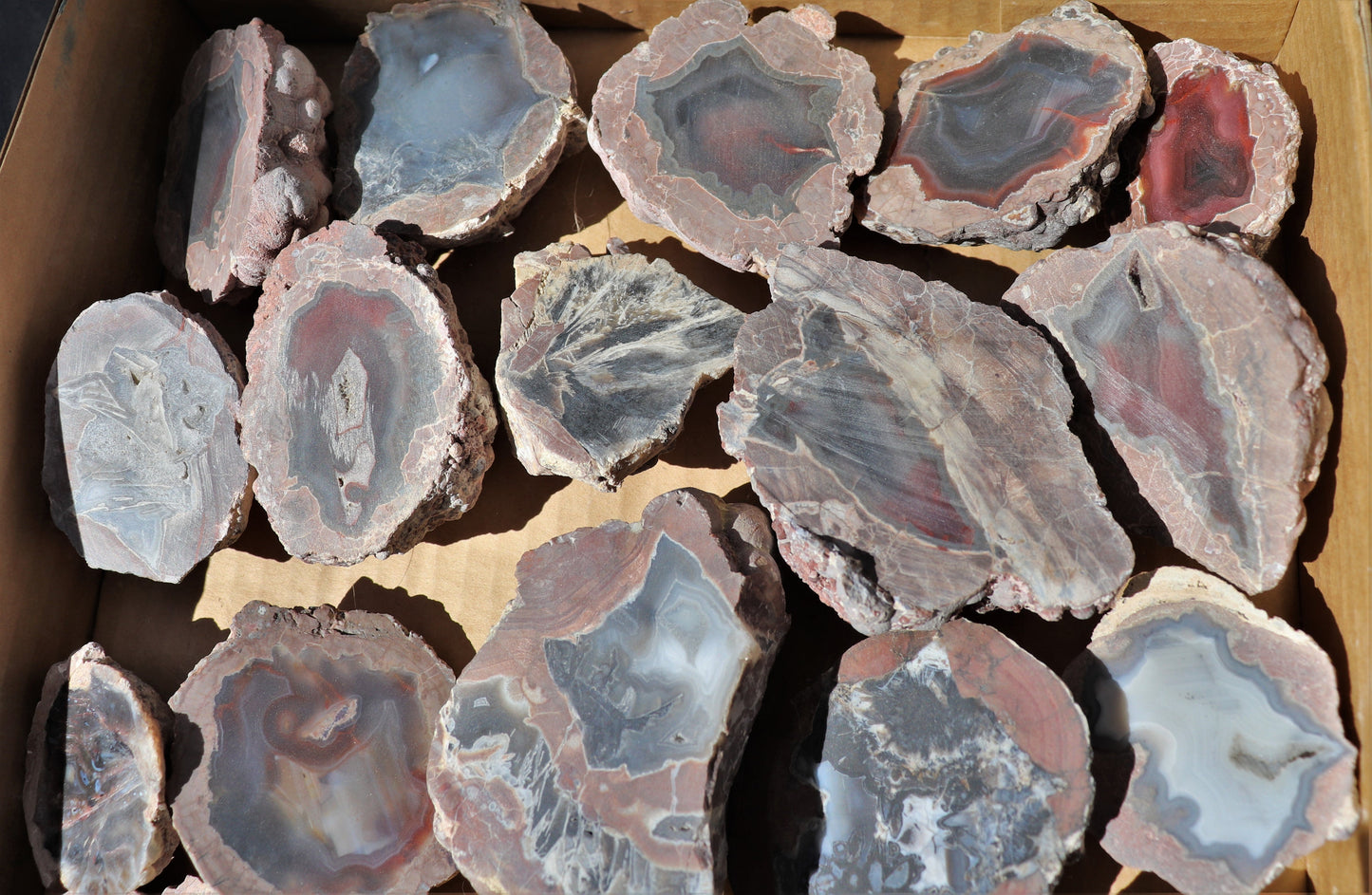 30 count flat of $15 Deming thunderegg halves
