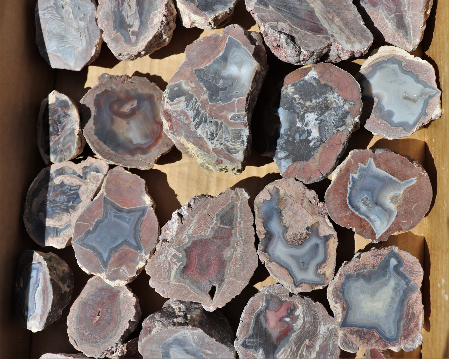 30 count flat of $15 Deming thunderegg halves