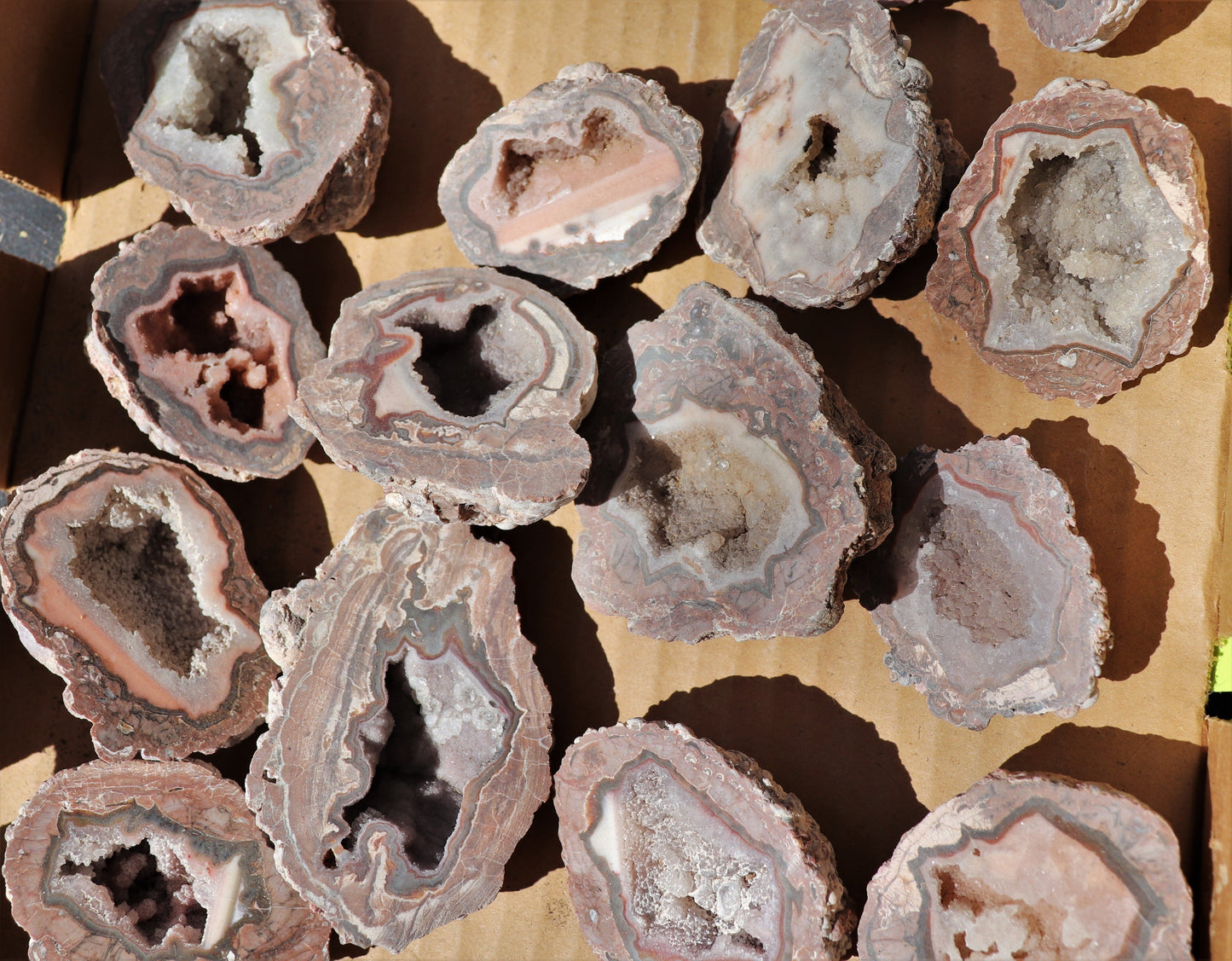 24 count flat of $20 Baker Ranch thunderegg halves