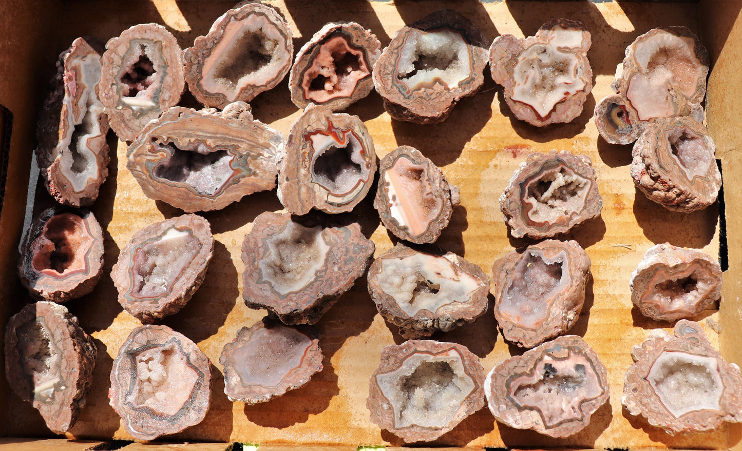 24 count flat of $20 Baker Ranch thunderegg halves
