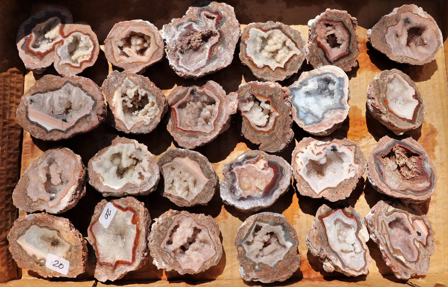 24 count flat of $20 Baker Ranch thunderegg halves