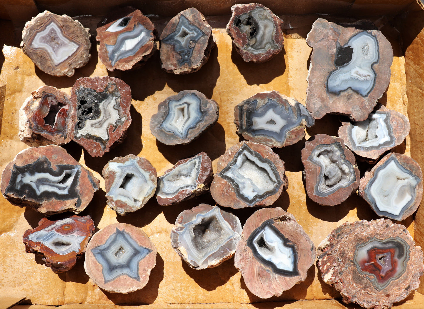 20 count flat of $20 Deming thunderegg halves