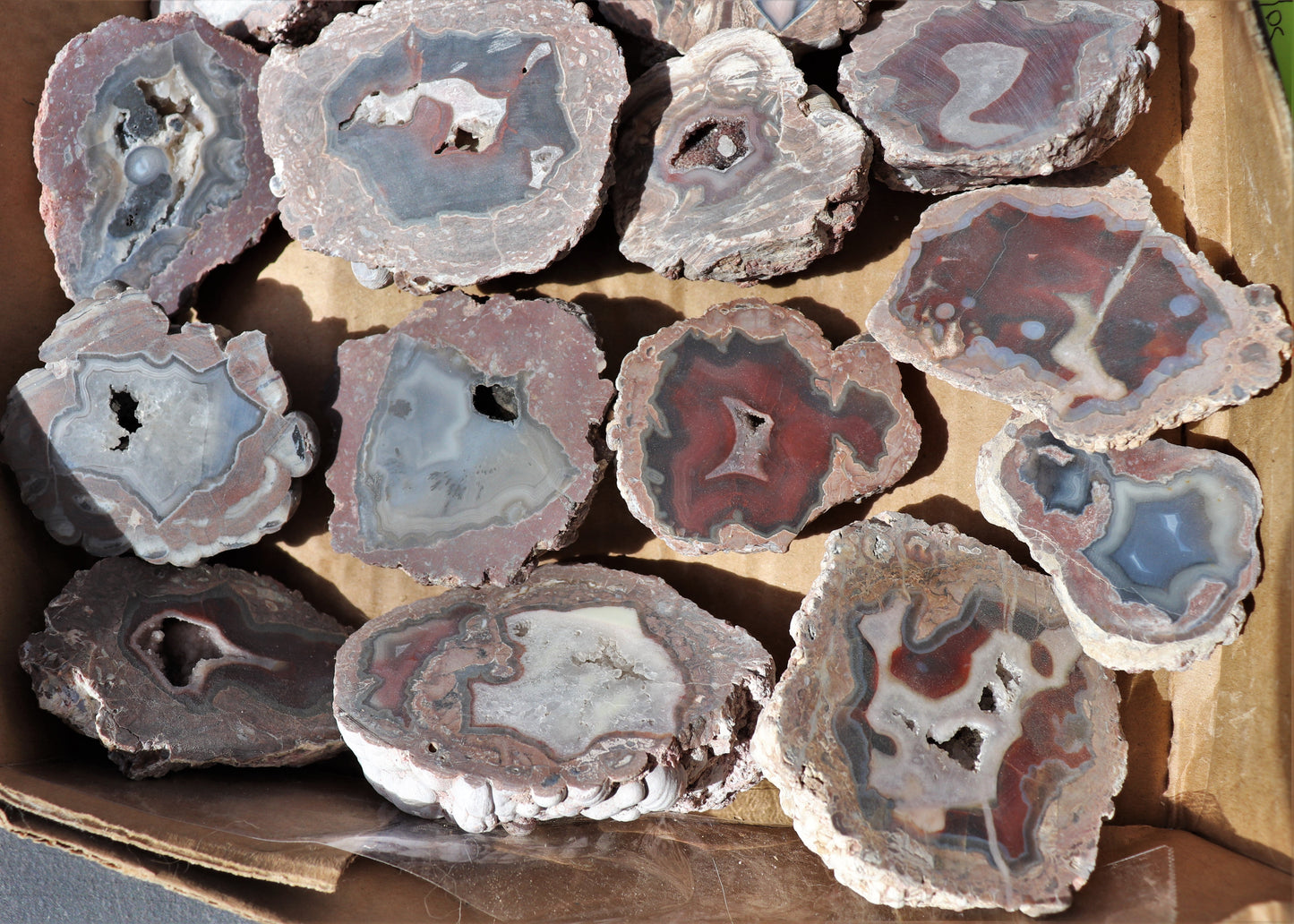 24 count flat of $20 Deming thunderegg halves