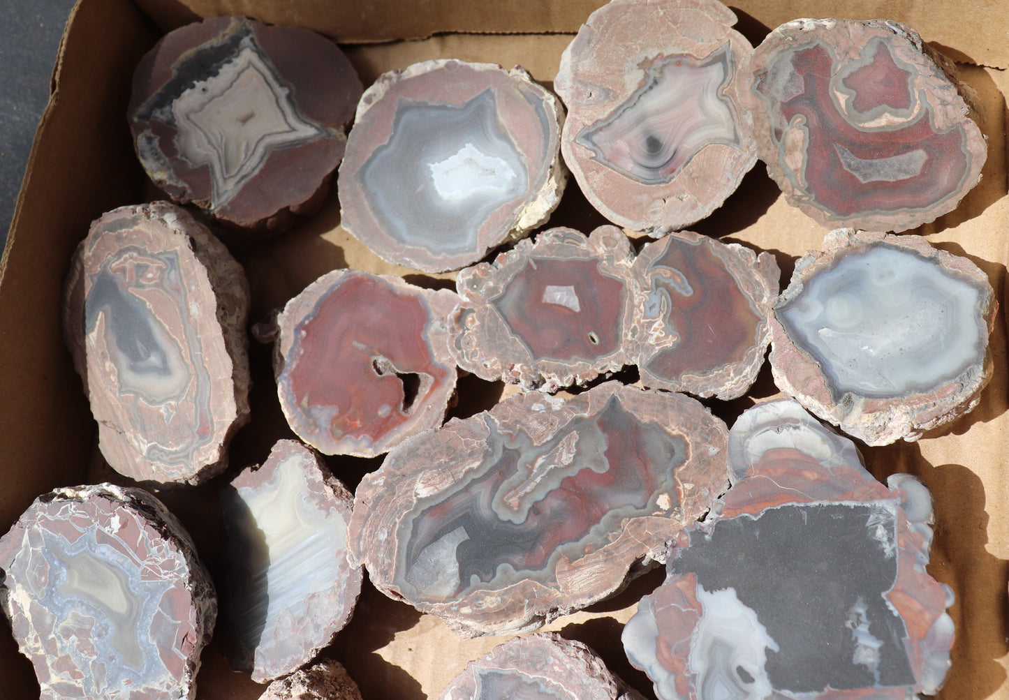 24 count flat of $20 Deming thunderegg halves