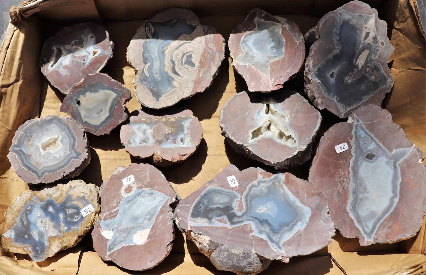12 count flat of $25 Deming thunderegg halves