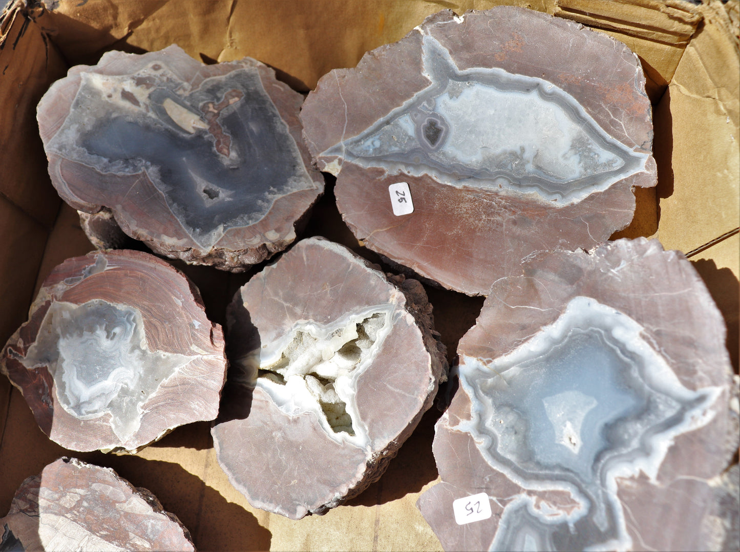 12 count flat of $25 Deming thunderegg halves