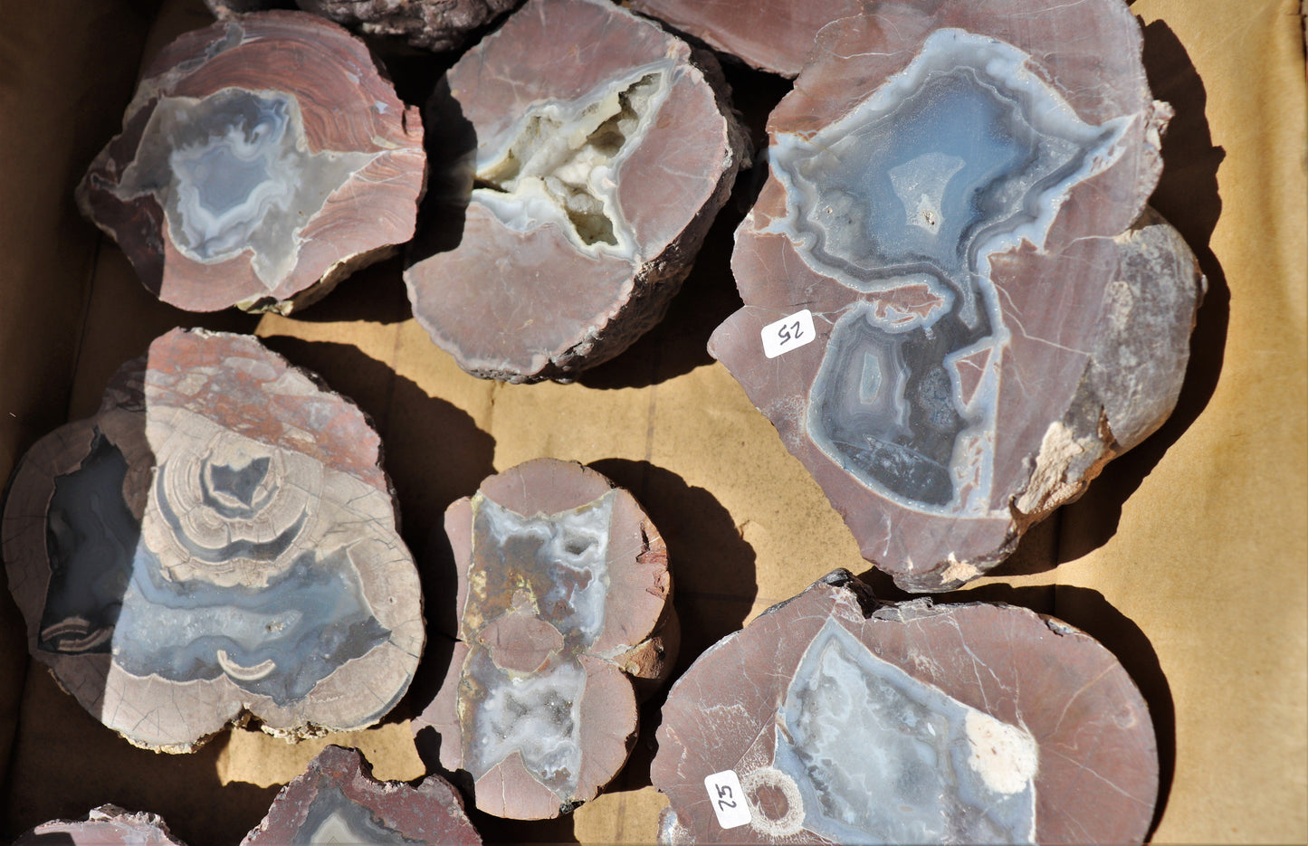 12 count flat of $25 Deming thunderegg halves