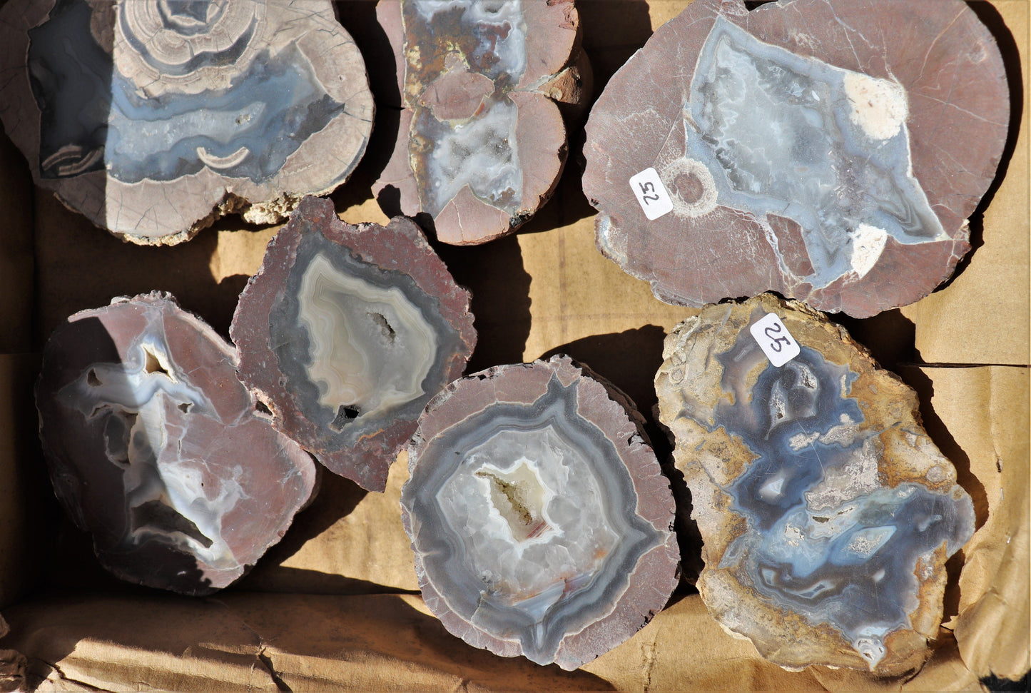 12 count flat of $25 Deming thunderegg halves