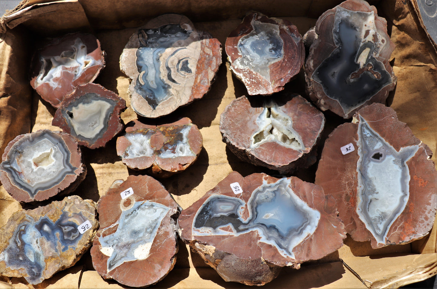 12 count flat of $25 Deming thunderegg halves
