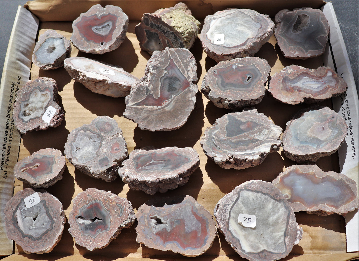 20 count flat of $25 Deming thunderegg halves