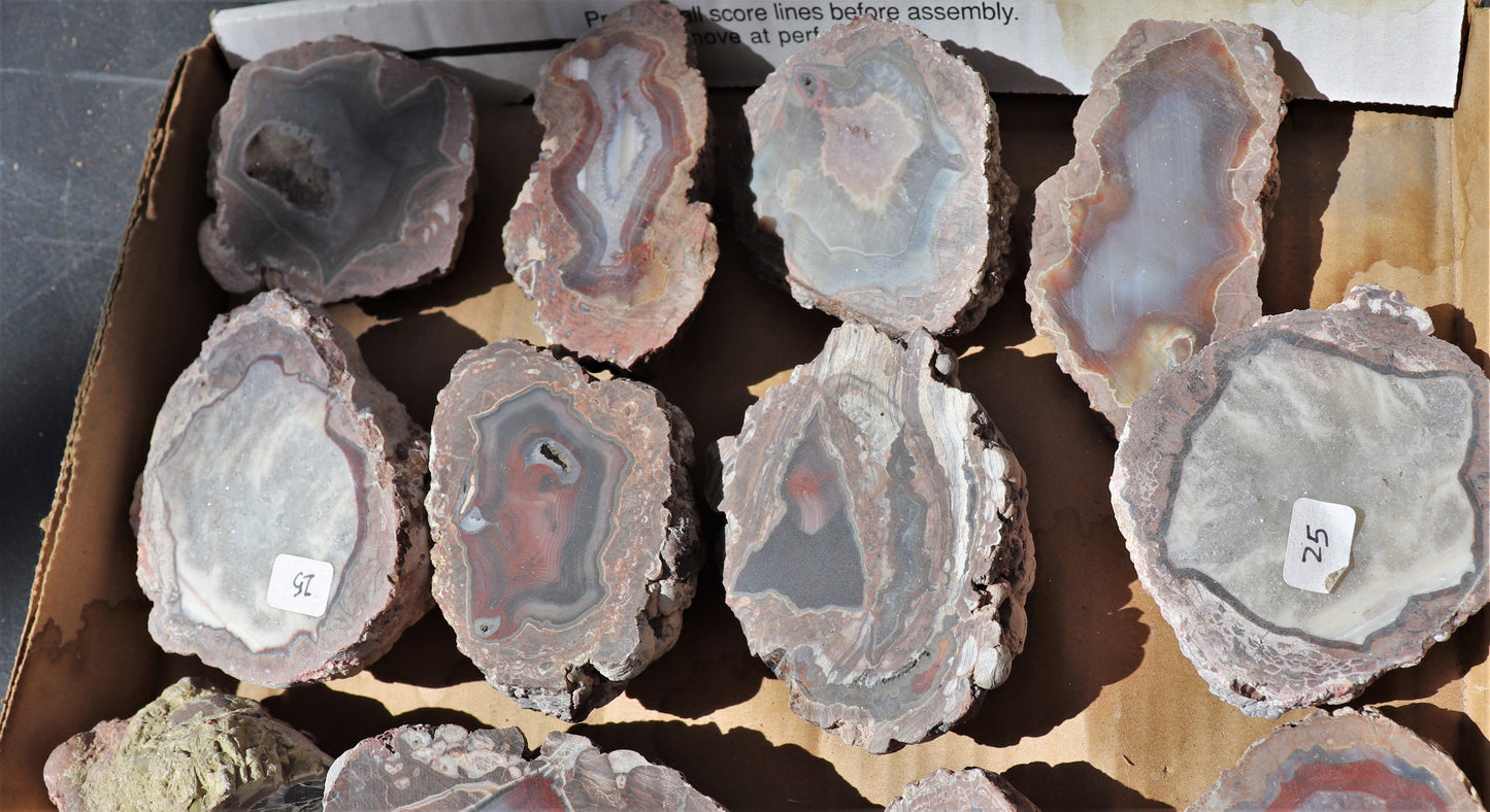 20 count flat of $25 Deming thunderegg halves