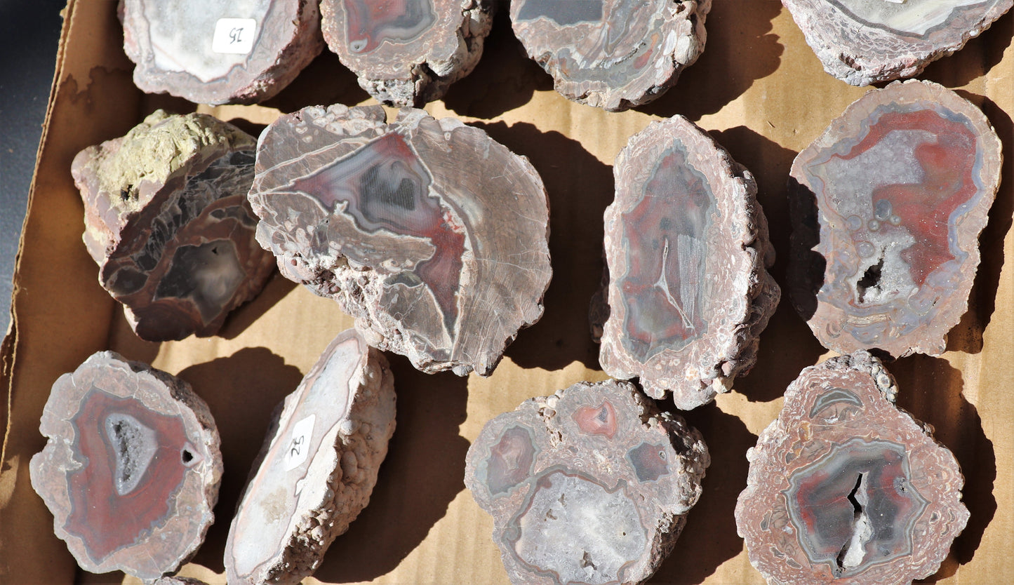 20 count flat of $25 Deming thunderegg halves