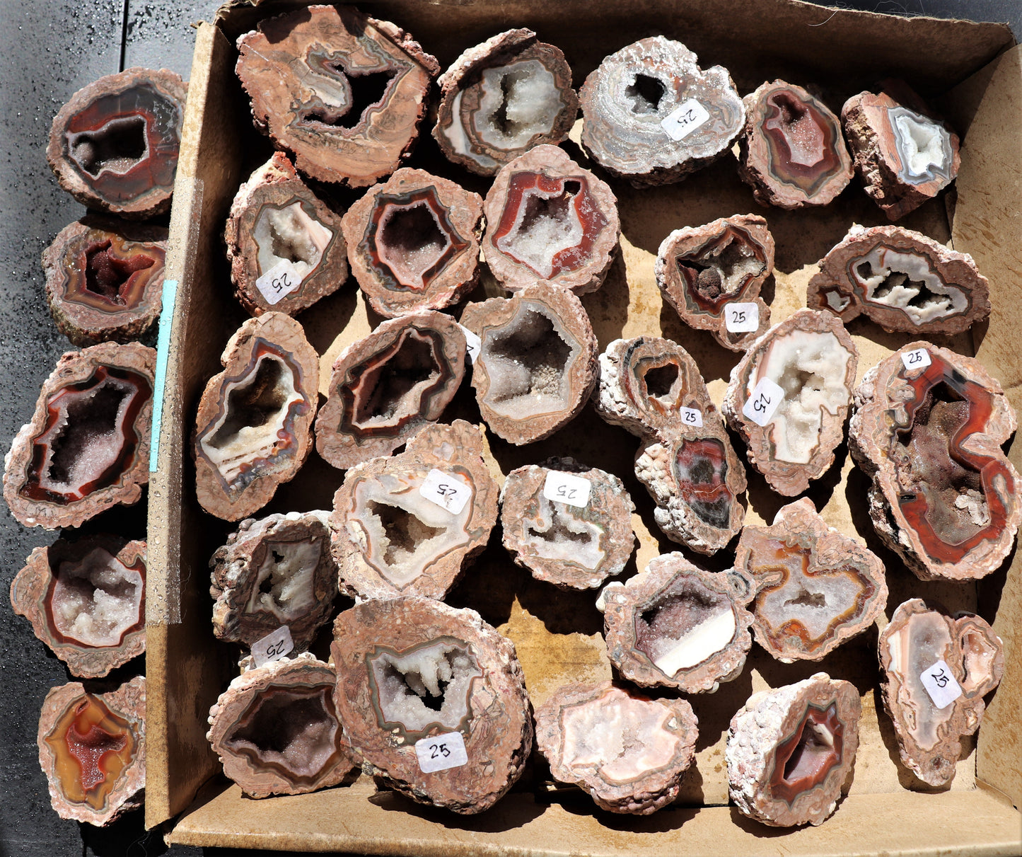 30 count flat of $25 Deming thunderegg halves
