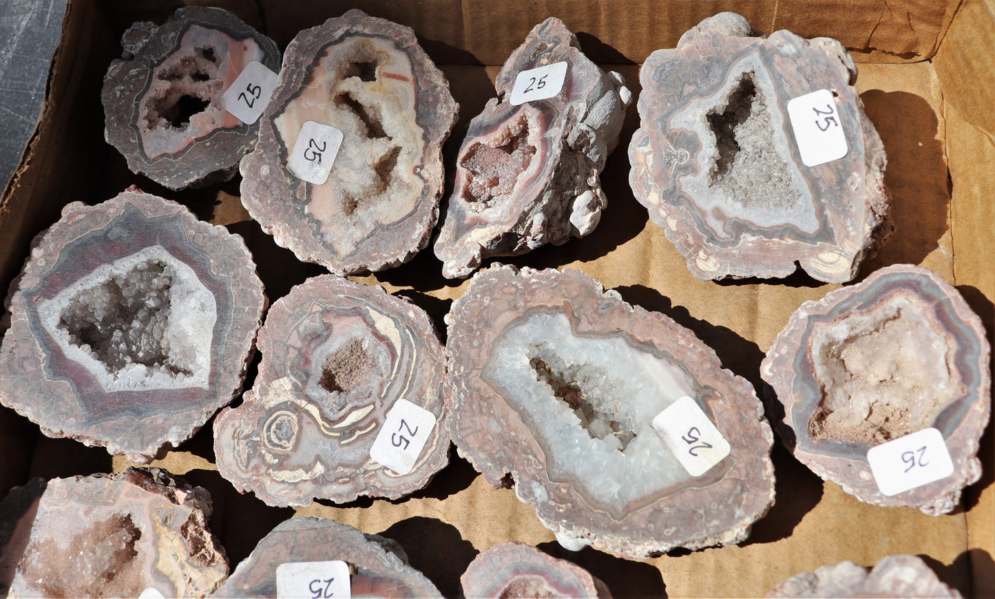 20 count flat of $25 Baker Ranch thunderegg halves