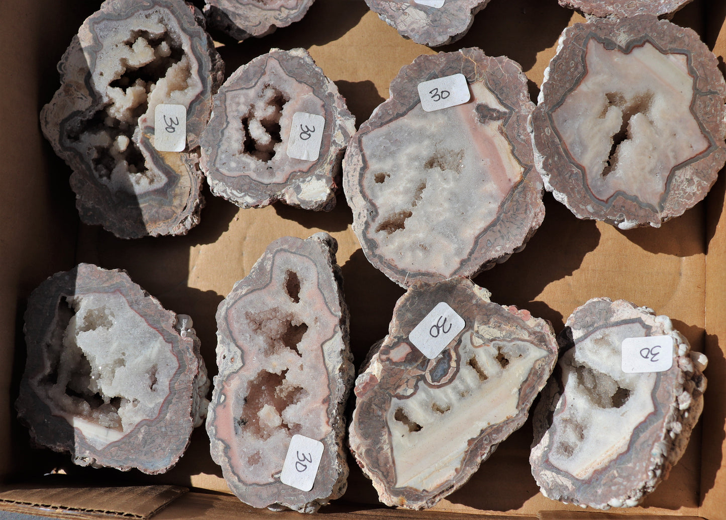 18 count flat of $30 Baker Ranch thunderegg halves