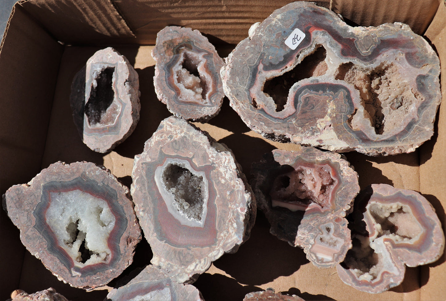 16 count flat of $30 Baker Ranch thunderegg halves