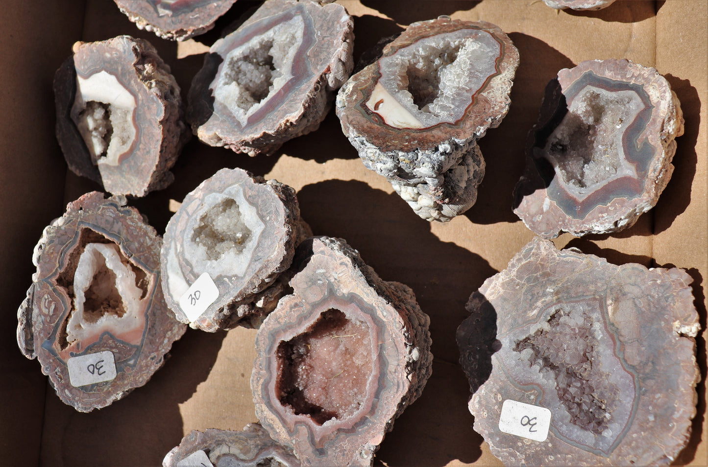16 count flat of $30 Baker Ranch thunderegg halves