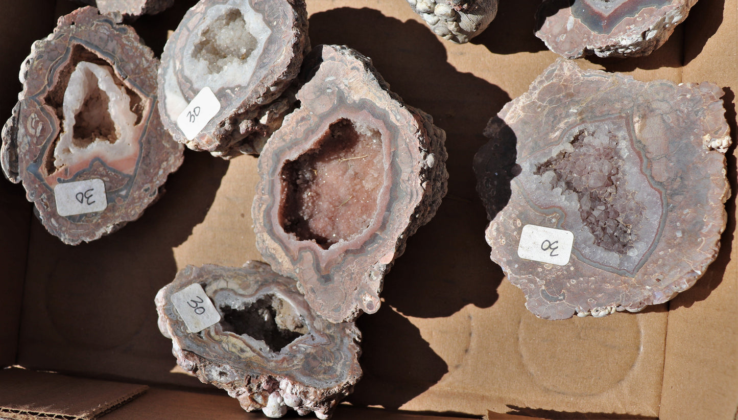 16 count flat of $30 Baker Ranch thunderegg halves