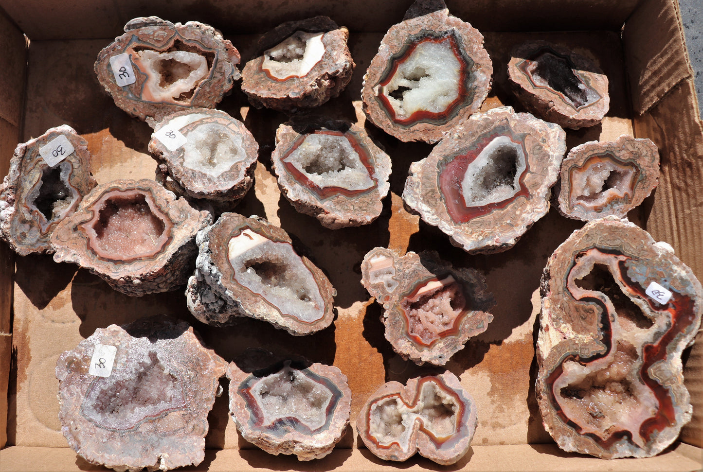 16 count flat of $30 Baker Ranch thunderegg halves