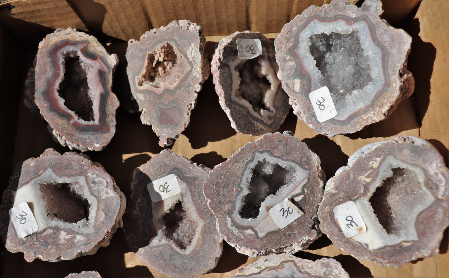 16 count flat of $30 Baker Ranch thunderegg halves