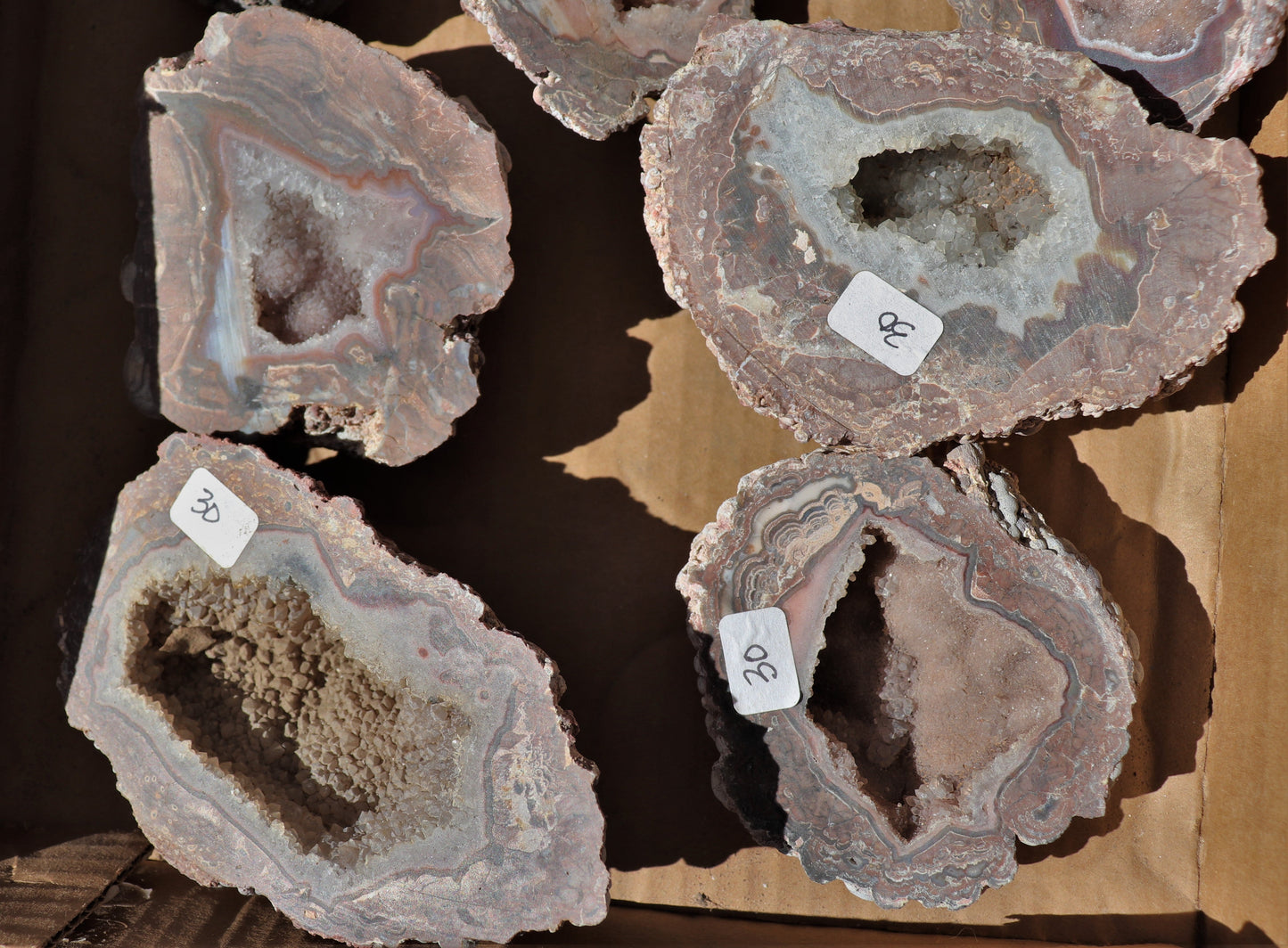 16 count flat of $30 Baker Ranch thunderegg halves