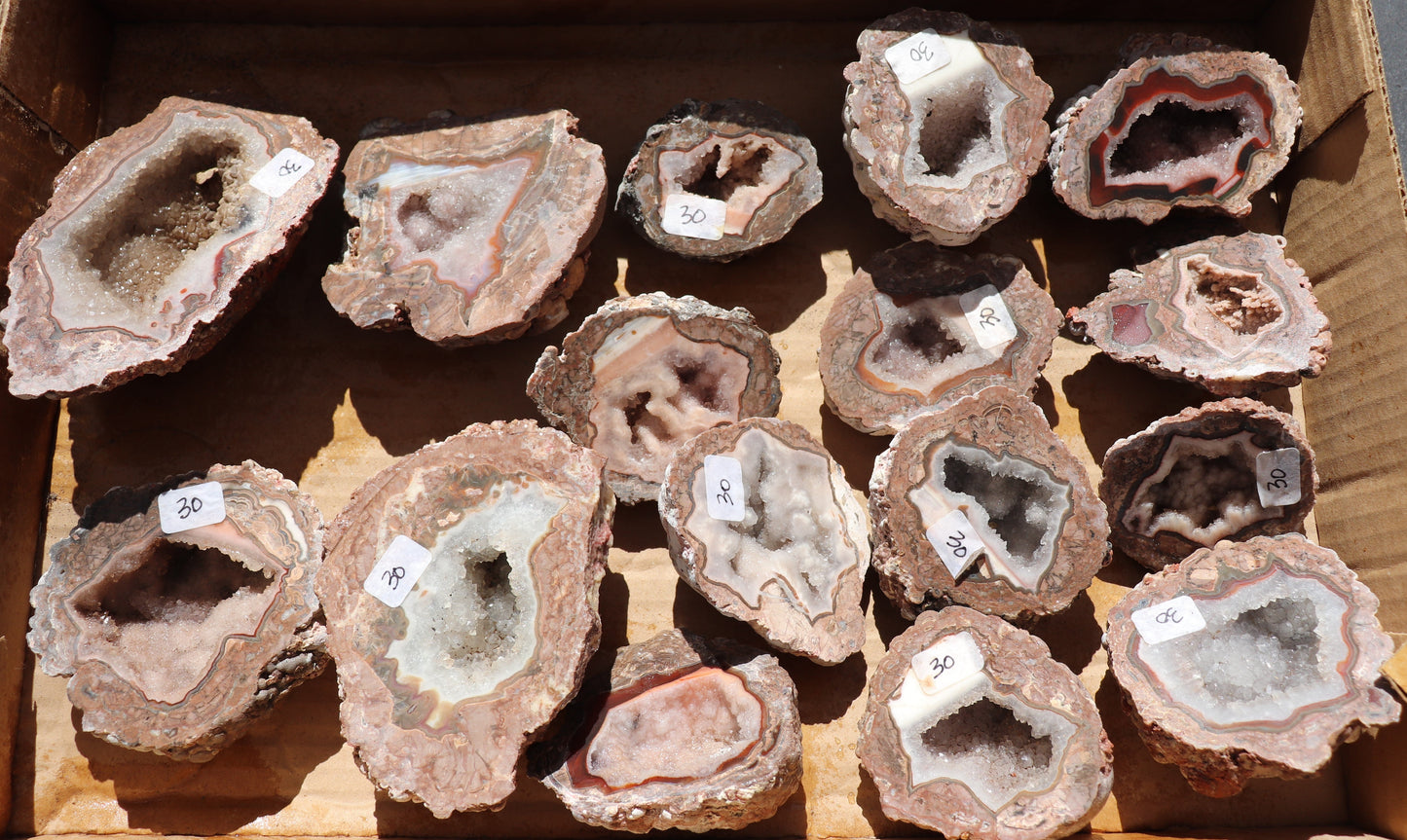 16 count flat of $30 Baker Ranch thunderegg halves
