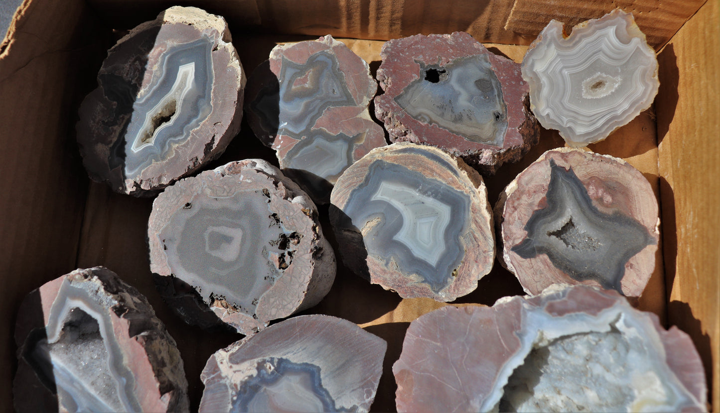 16 count flat of $30 Deming thunderegg halves