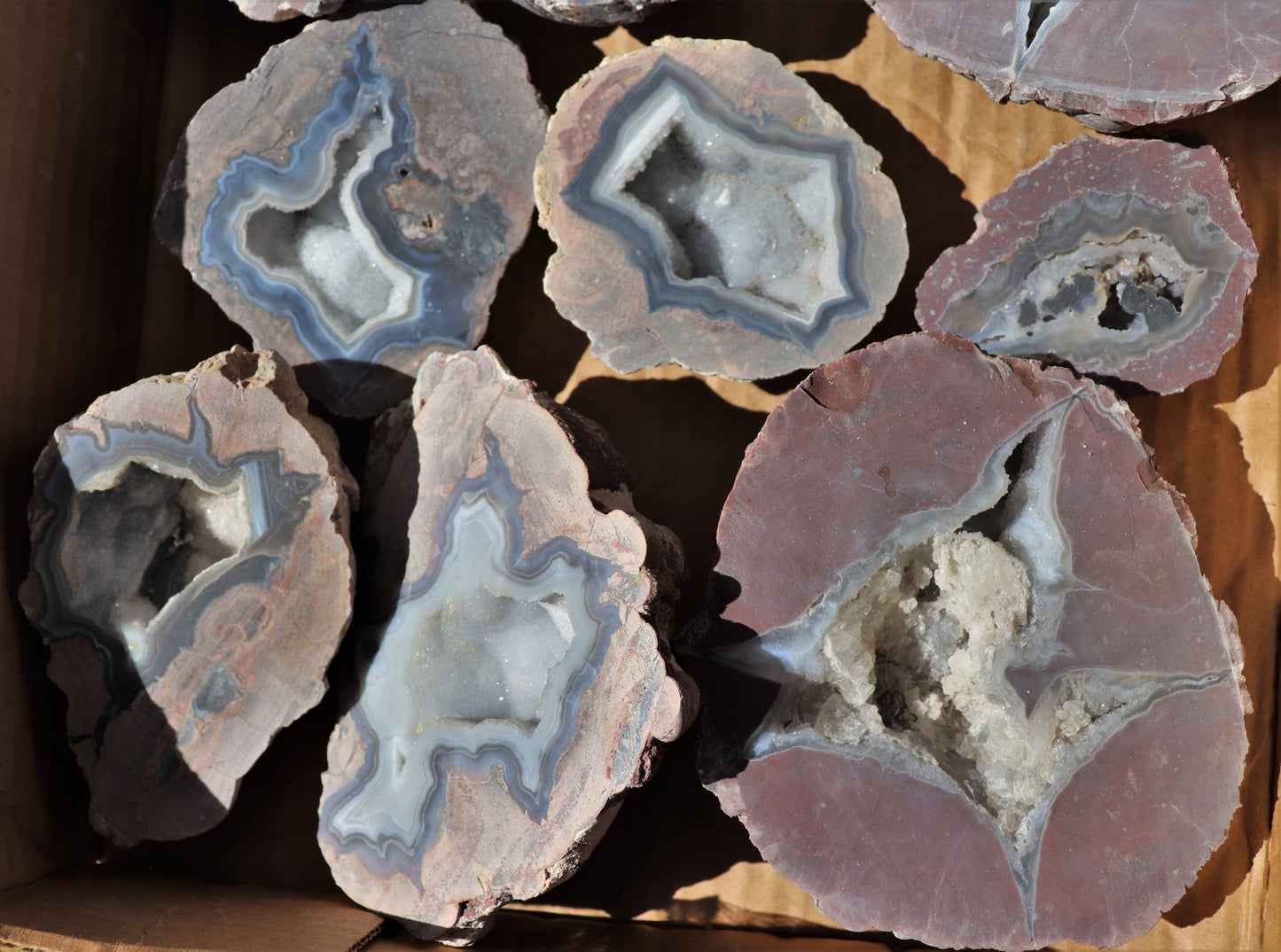 16 count flat of $30 Deming thunderegg halves