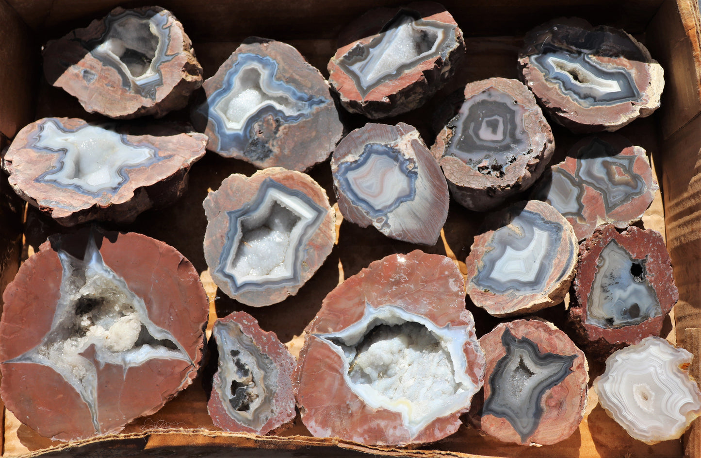 16 count flat of $30 Deming thunderegg halves