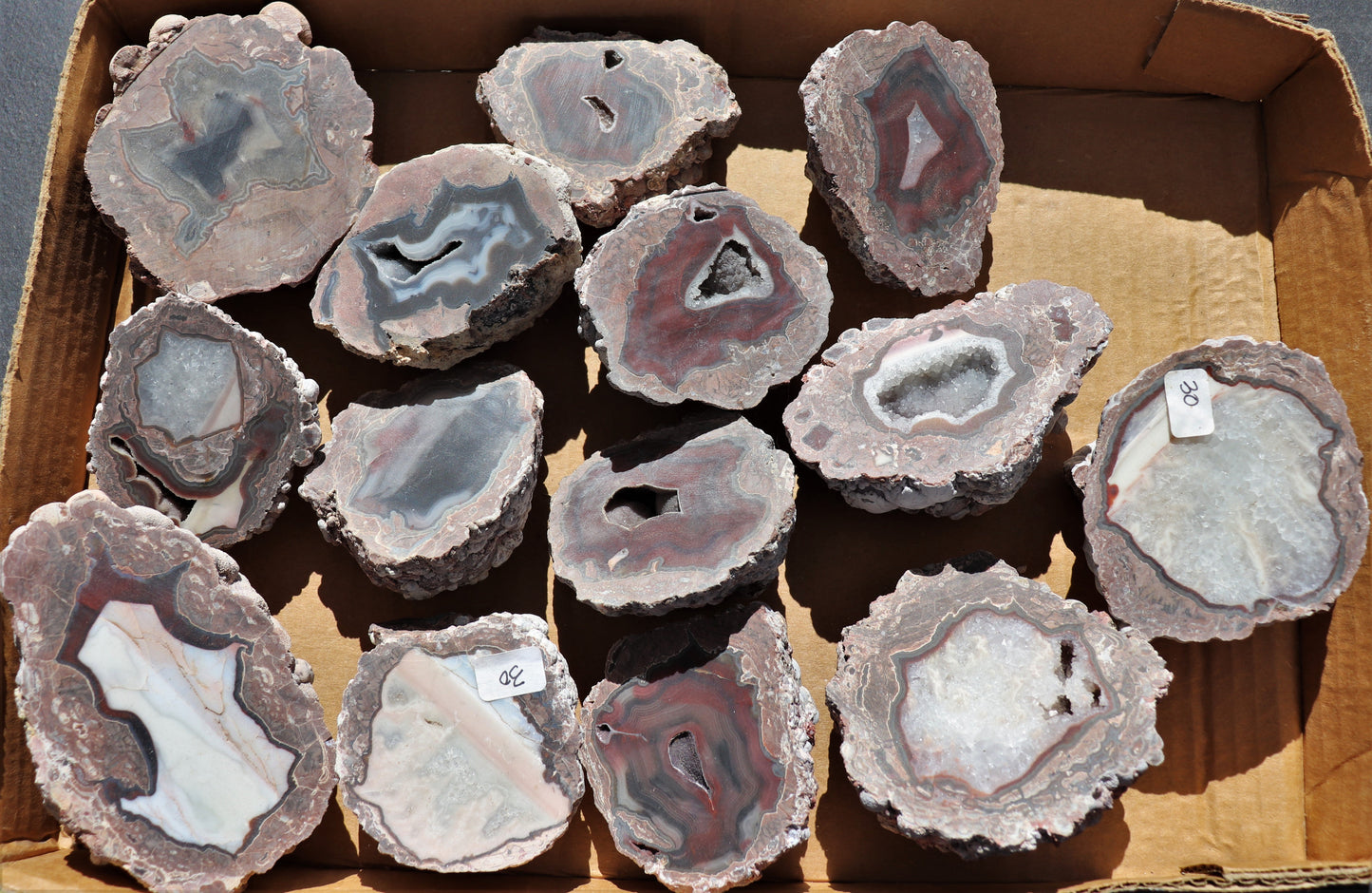 16 count flat of $30 Deming thunderegg halves