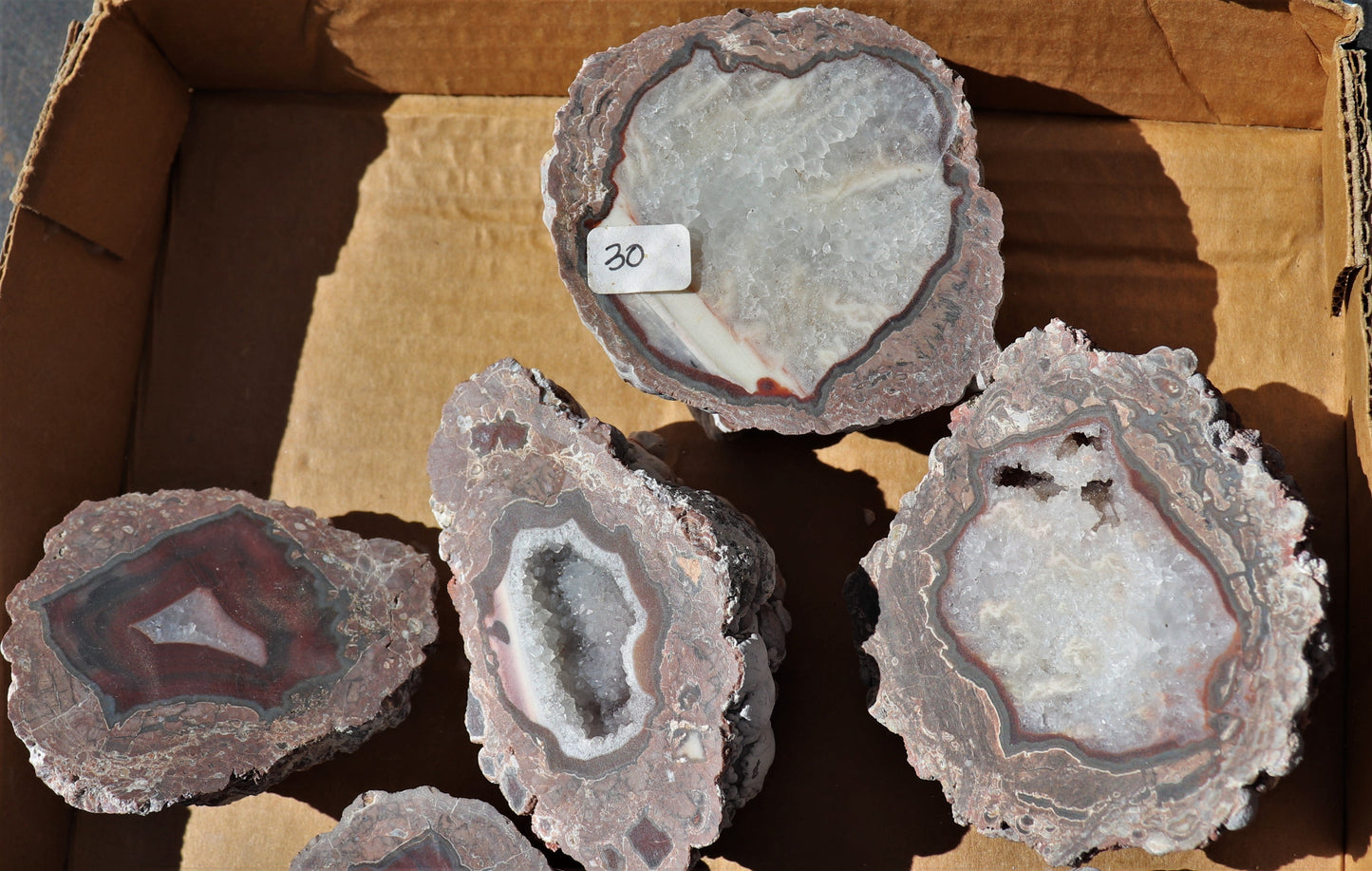16 count flat of $30 Deming thunderegg halves