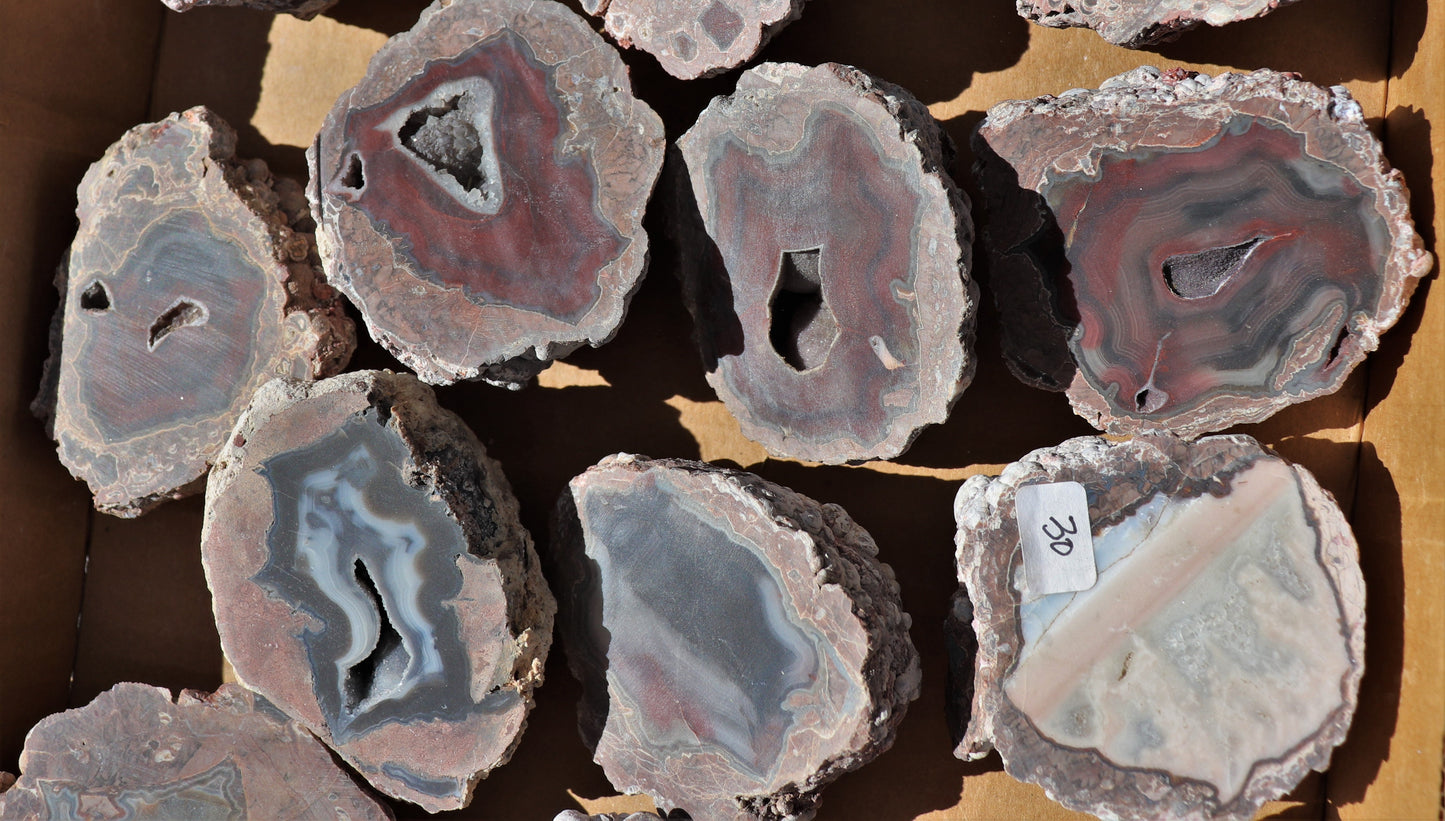 16 count flat of $30 Deming thunderegg halves
