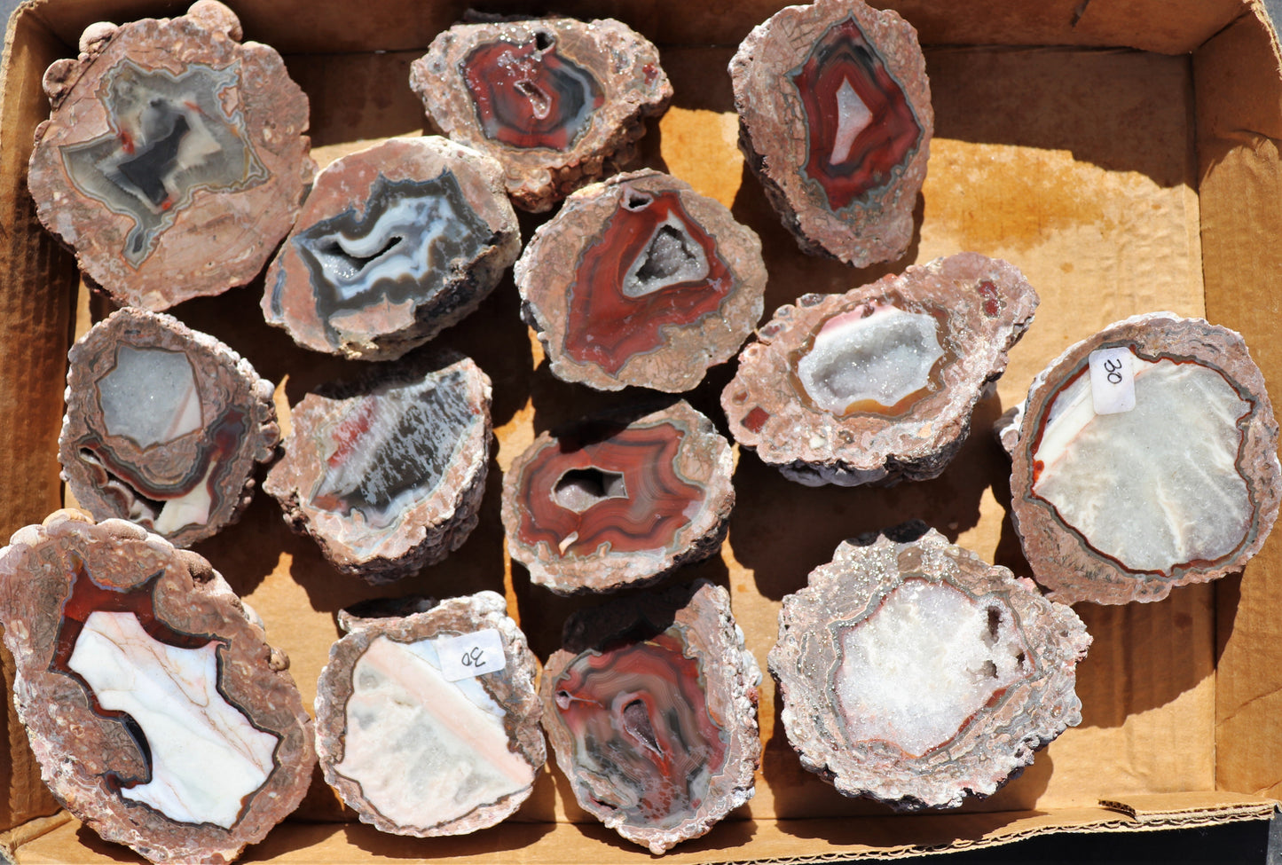 16 count flat of $30 Deming thunderegg halves
