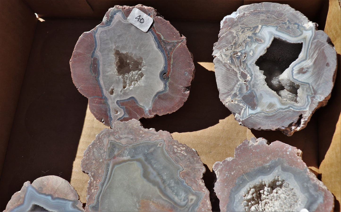 10 count flat of $40 Deming thunderegg halves