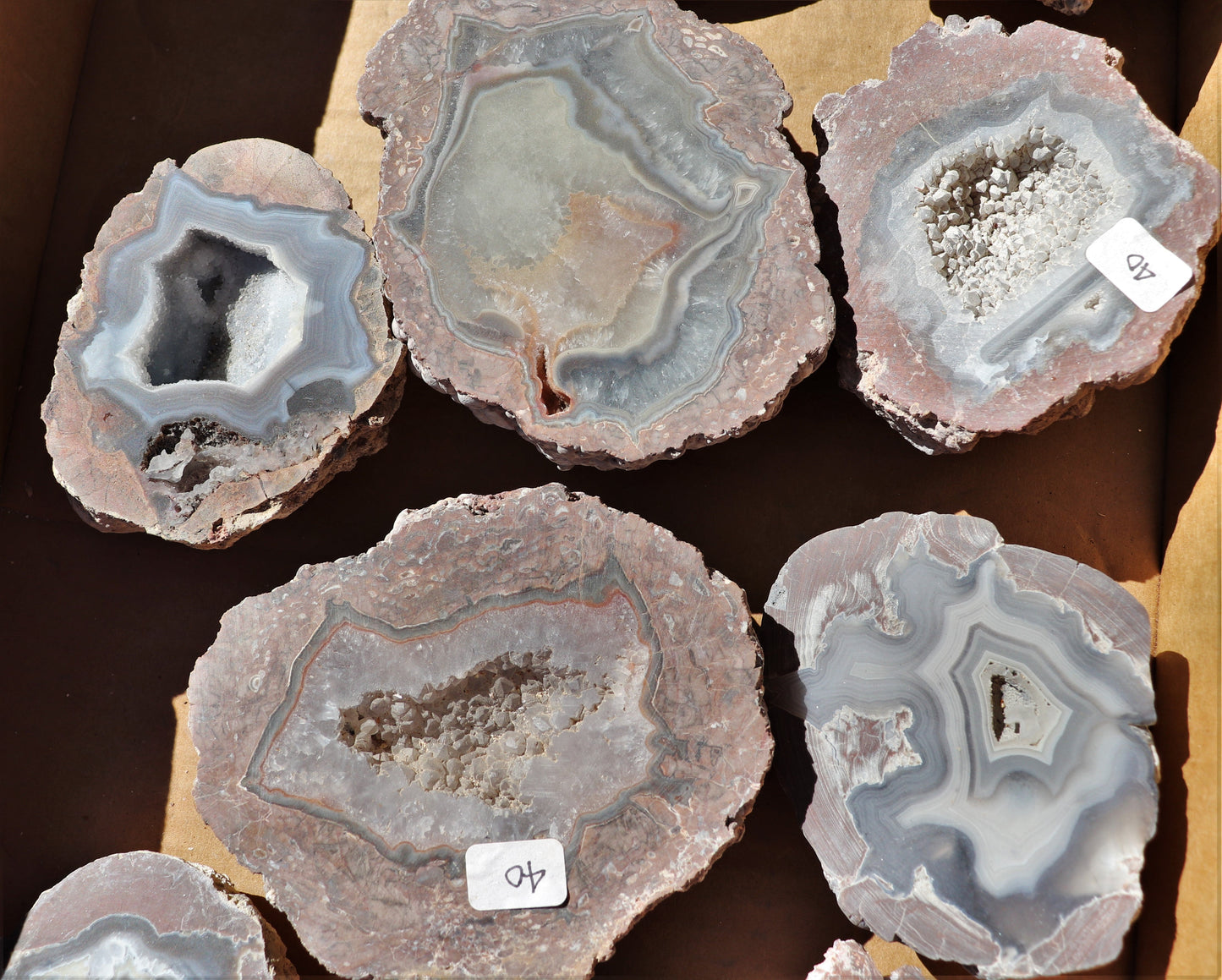 10 count flat of $40 Deming thunderegg halves