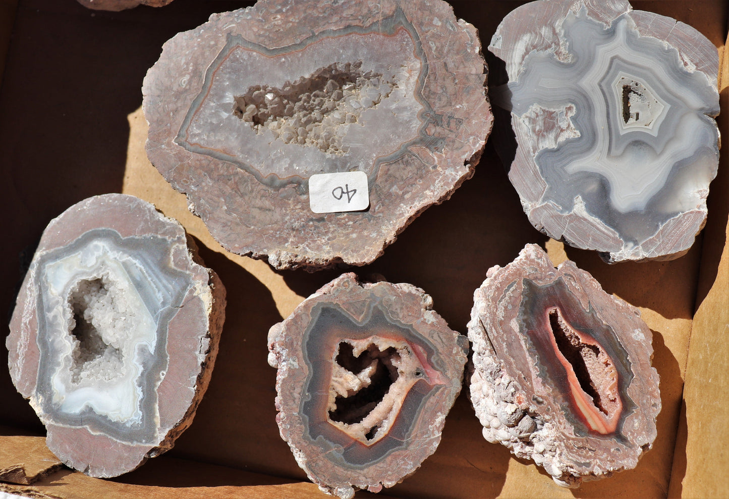 10 count flat of $40 Deming thunderegg halves
