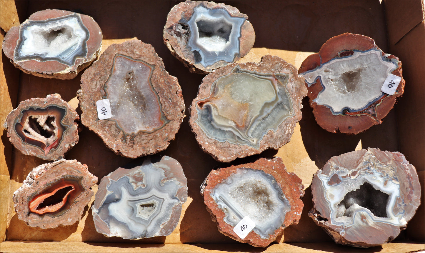 10 count flat of $40 Deming thunderegg halves