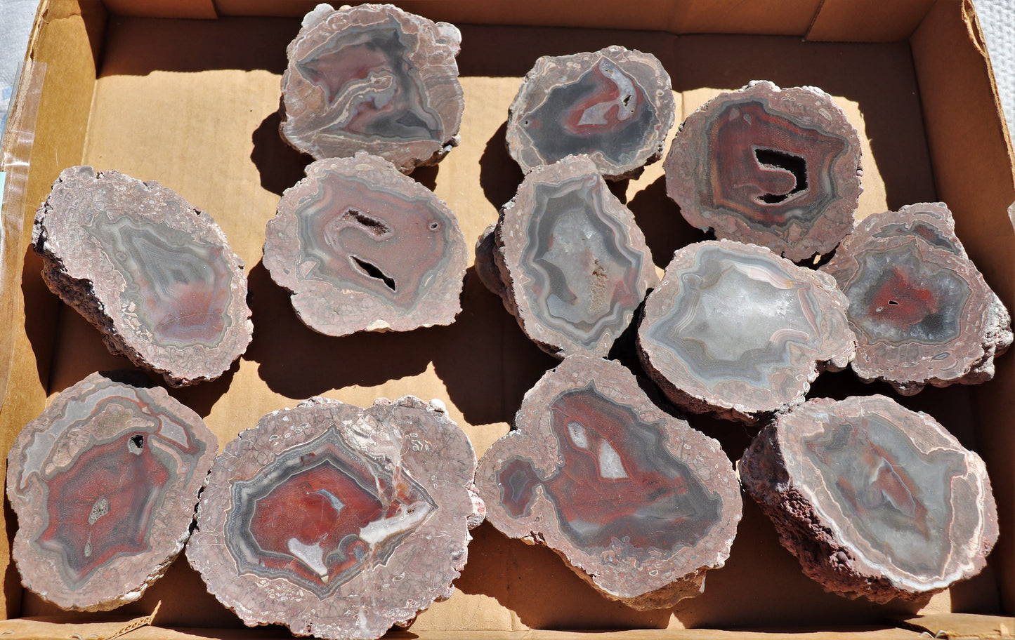12 count flat of $40 Deming thunderegg halves
