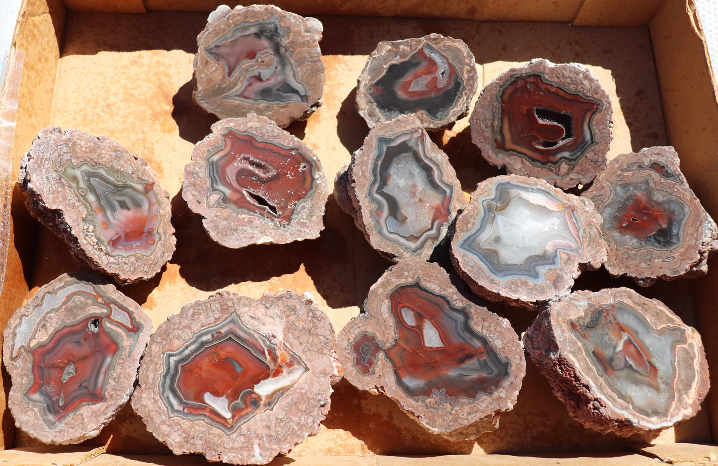 12 count flat of $40 Deming thunderegg halves